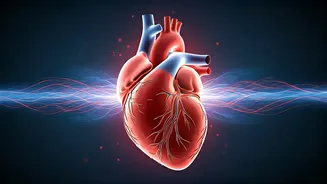 Unpacking Salt Sensitivity: Causes, Risks, and Effective Management Strategies