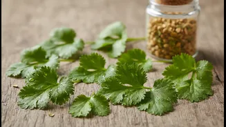 How To Preserve Pure Coriander Volatiles Safely Without Condensing Moisture Knots Inside Bags