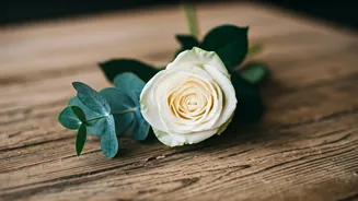 Eco-Chic Weddings: A Guide for the Sustainable Bride