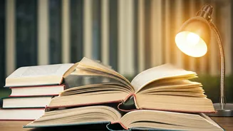 Post-PhD Blues: Overqualified, Underappreciated?