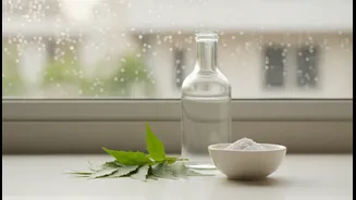 What Low-Chemical Monsoon Cleaning Reveals About the Future of Vinegar, Neem and Baking Soda