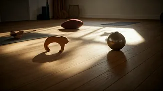 Experience Dawn Animal Flow For a Mindful Morning Routine