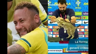 Cat curse behind Brazil's World Cup exit?
