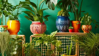 Indoor Plants Benefit From Seasonal Care Instead Of Fixed Schedules