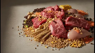 FAO Food Signals Have Entered The Feed