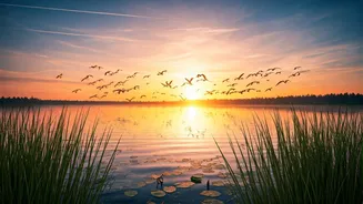 India's Avian Havens: Top 10 Lakes for Unforgettable Birdwatching Adventures