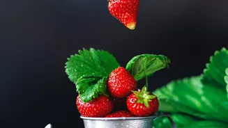 Precision Watering Helps Growers Improve Strawberry Flavour and Consistency