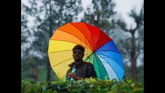 South India Sees Subdued Monsoon: Kerala, Tamil Nadu, Karnataka Face Lighter Showers This Week