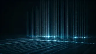 Uttar Pradesh Electors: Over 2 Crore Names Removed, Final Roll Sees Significant Drop