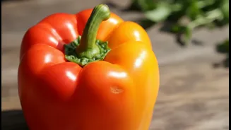 Use Fresh Produce Without Hidden Rot Or Deep Damage