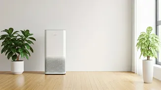 Improve Indoor Air Quality With These 7 Hacks