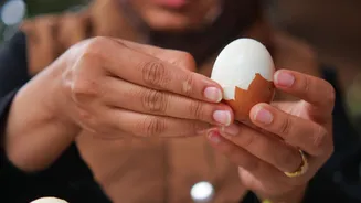 Se você comer ovos, conseguirá diminuir os riscos de ter Alzheimer no futuro; entenda