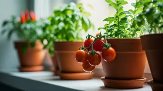 Grow Food Without Leaving Home