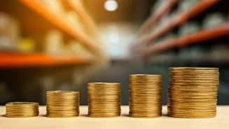 India's Wholesale Inflation: December Data Analysis