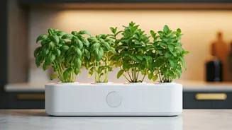 Grow Countertop Kitchen Herbs via Smart Indoor Hydroponic Kits