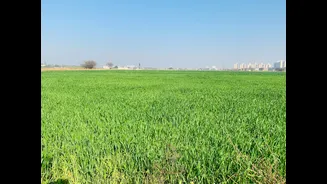 Punjab unveils roadmap to eliminate stubble burning by 2030