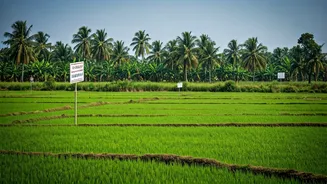 MGNREGS Revival: West Bengal's Possible Return