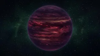 Brown dwarfs: The cosmic misfits