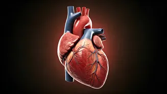 5 Habits Harming Your Heart: Protect Yourself!
