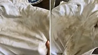 'Water So Clean… Clothes Glowing Like White Diamonds': Delhi Man Thanks CM Rekha Gupta, Urges People Not To Make Memes| VIDEO