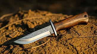 Related Stories banner