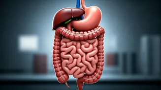 Spice Tolerance Shift: How Living Abroad Alters Your Palate and Digestive Comfort