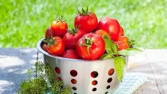 Old Colanders Make Distinctive Planters With Minimal Effort