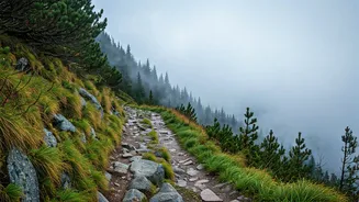 These Monsoon Treks Feel Like Walking Through Clouds