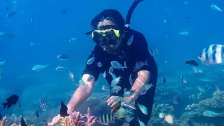 How Sustainable Travel Guidelines Protect Coral Reef Systems In Lakshadweep From Tourist Impact