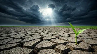Young Investors Are Watching Rain And Food Prices
