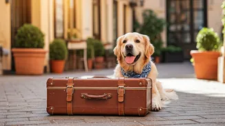 Paw-Friendly Holidays Are The New Weekend Goal
