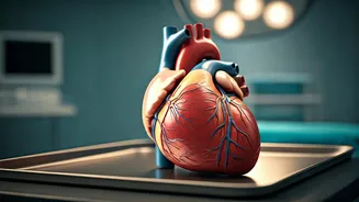 Cholesterol and Statins: Unveiling the Facts