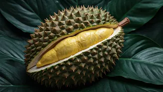 Uncover 10 Exotic Fruit Trees: A Botanical Traveler's Guide to Global Delights