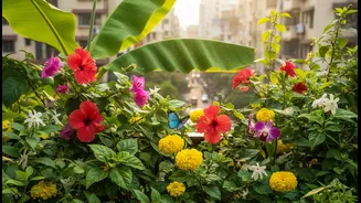 Balcony Greens Can Support Local Biodiversity