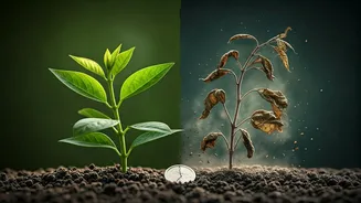 Young Investors Need A Fund-Cost Reality Check
