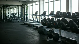 Bollywood's Fitness Transformations: Sweating for Success