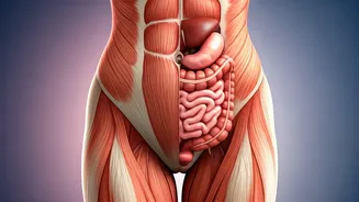 Visible Abs vs. Healthy Periods: Unpacking the Truth for Women's Fitness