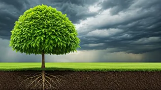 Climate Anxiety: From Overwhelm to Action