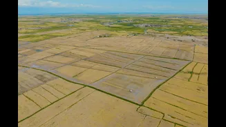 Climate-Smart Agriculture Adoption in Fragile Regions: Key Findings