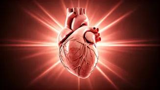 Beyond Menopause: Hot Flashes as a Heart Health Alert