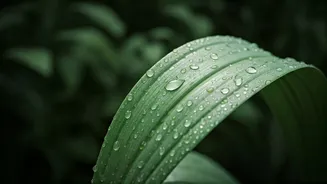 Healthy Skin Starts With Better Monsoon Habits