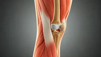 Beyond 30: Combating Silent Muscle and Bone Loss for a Healthier Future