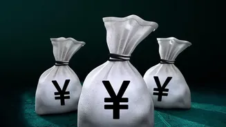 Manage variable income with these tips