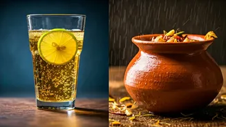 Kombucha Vs Kanji: The Ultimate Monsoon Health Drink Breakdown