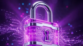 Email Encryption Tips Cover Secure Services, Keys And Software Updates