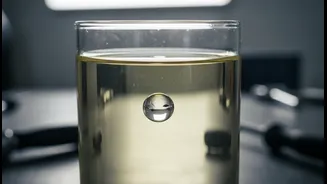 Water-Rich Fuel Could Cause Starting Trouble, But Experts Dispute E20 Alarm