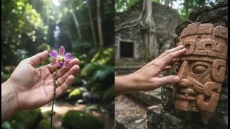 Adventure Tourists Need To Know The Difference Between Observation And Participation