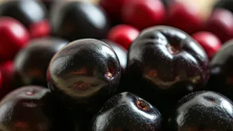 Seasonal Fruits Go Viral For Health Benefits
