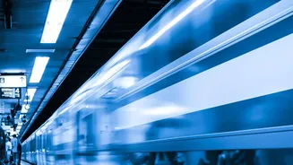The Research Raises Questions About Speed, Satiety and Modern Routines