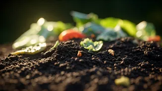 Composting Is The Low-Cost Green Flex